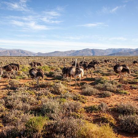 Inverdoorn Game Reserve Lodge Breede River Екстер'єр фото