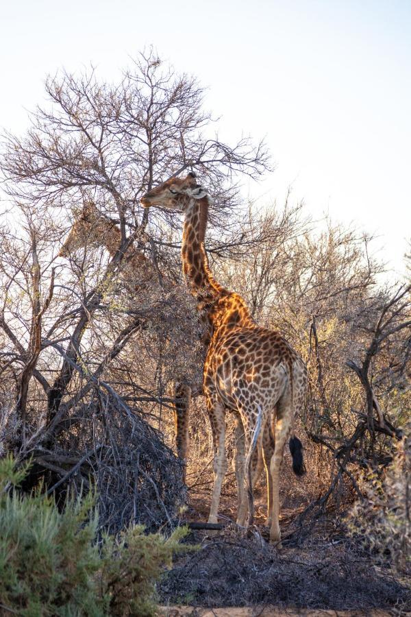 Inverdoorn Game Reserve Lodge Breede River Екстер'єр фото