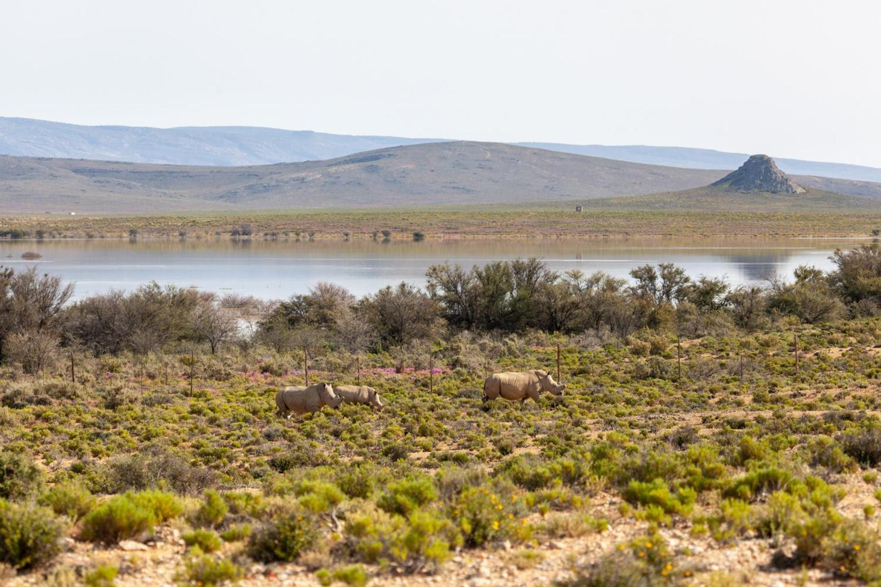 Inverdoorn Game Reserve Lodge Breede River Екстер'єр фото