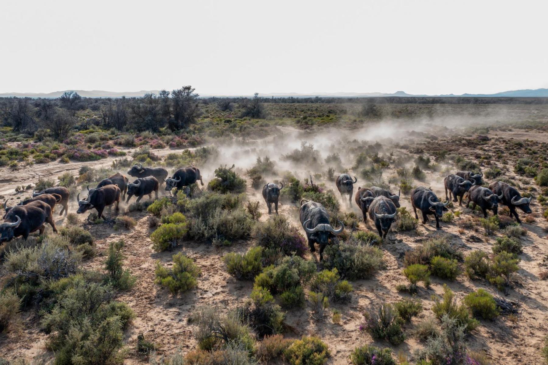 Inverdoorn Game Reserve Lodge Breede River Екстер'єр фото